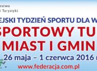banner_stmig2016.jpg