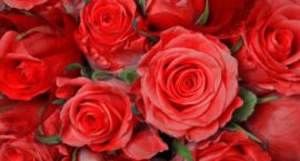 Życzenia z okazji Dnia Pracownika Socjalnego