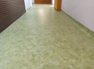 94123008_564297520881390_6661659567912386560_n