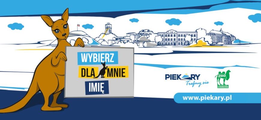 Nazwij piekarskiego kangurka
