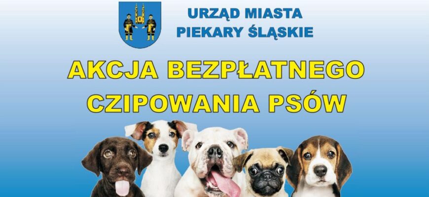 Zaczipuj swojego psa