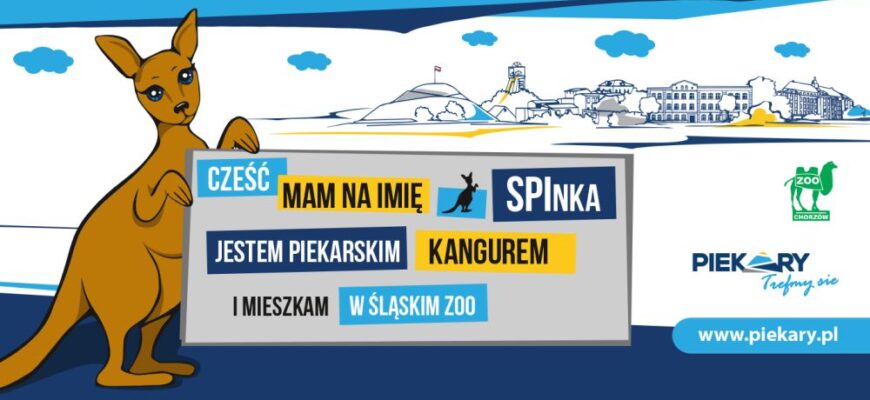 Cześć mam na imię SPInka