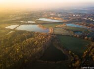 gryfny1