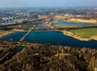 gryfny2