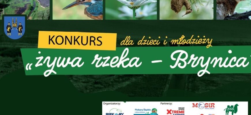 Konkurs „Żywa rzeka – Brynica” rozstrzygnięty