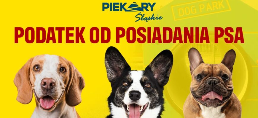 Dokonaj opłaty od posiadania psa do końca marca