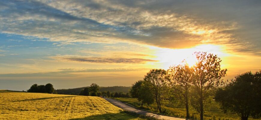 Piekary Śląskie stawiają na klimat. Powstaje Miejski Plan Adaptacji