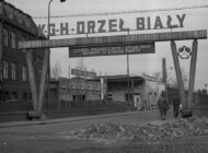 orzeł biały1