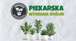 Piekarska Wymiana Roślin
