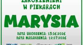 Zakorzenieni w Piekarach – drzewka z imionami dzieci