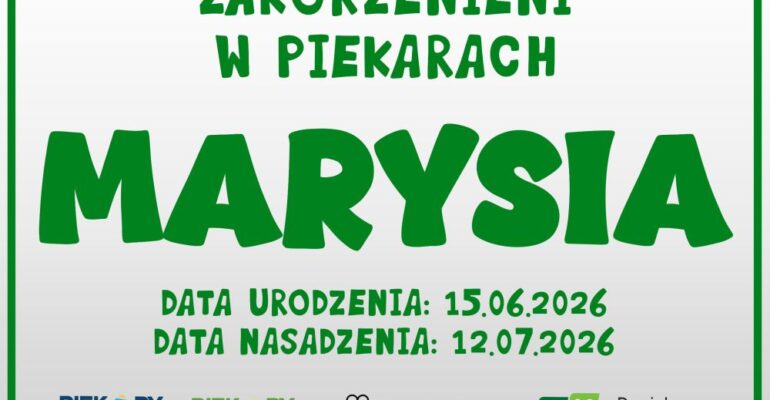Zakorzenieni w Piekarach - drzewka z imionami dzieci