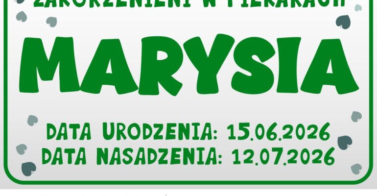 Zakorzenieni w Piekarach - drzewka z imionami dzieci